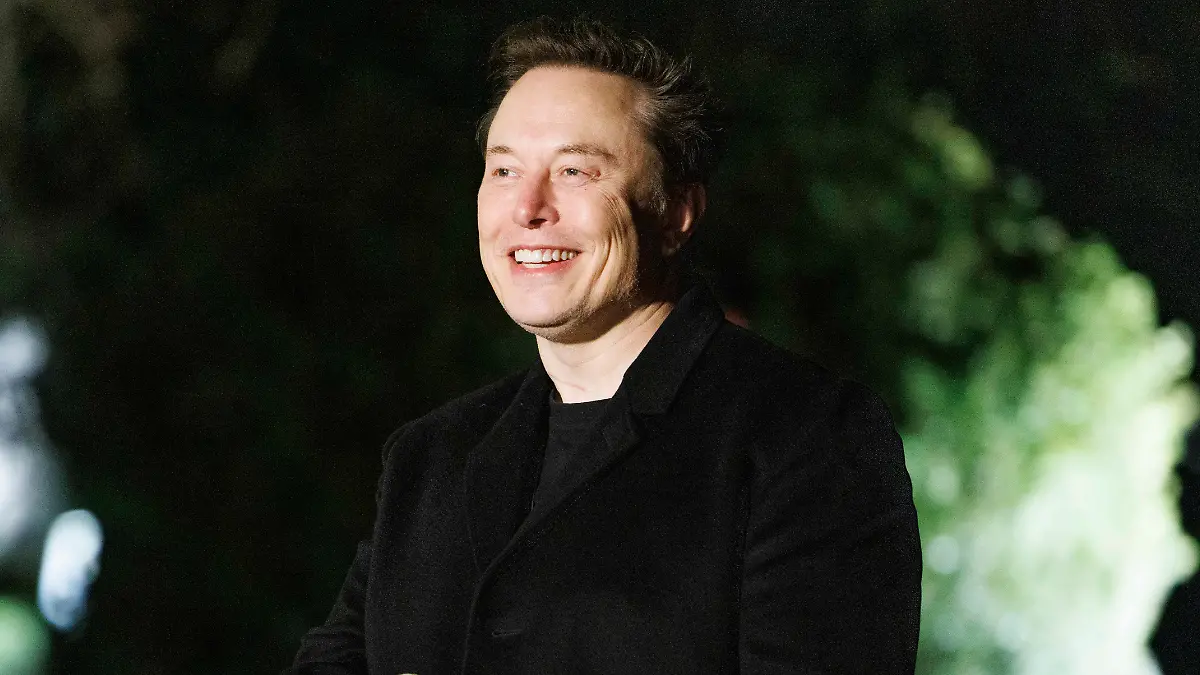 elon musk (2)